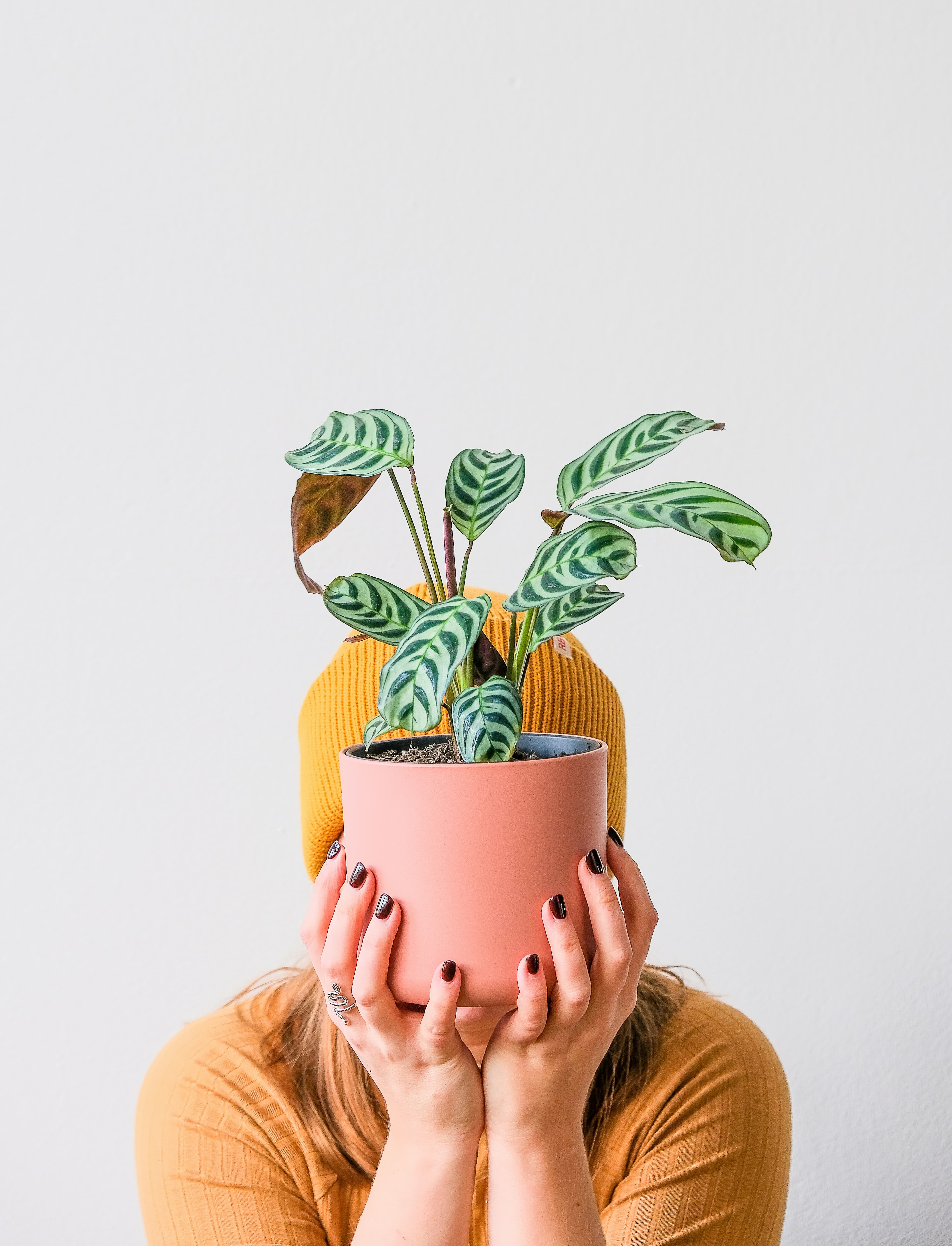 Lady with plant